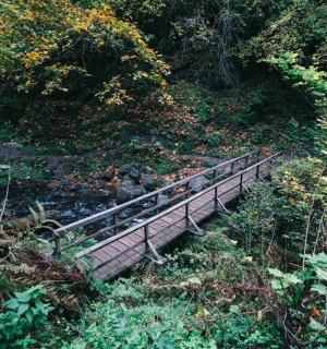 dřevěný most přes řeku na kopci