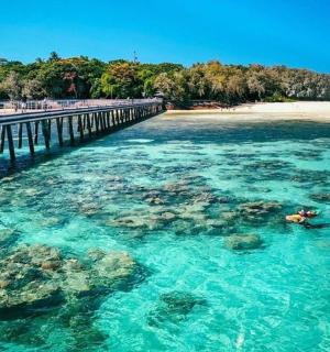 在码头旁的水中游泳的人