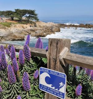 a sign on a fence with purple flowers next to the ocean