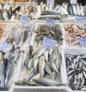 鱼市上待售的鱼的展示