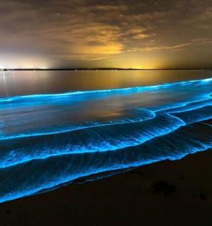 夜晚的海滩，水面上闪烁着蓝色的灯光