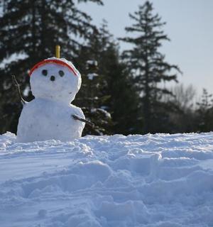 一个雪人站在雪地里