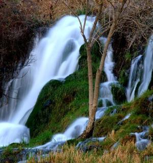 树木繁茂的山坡上的瀑布