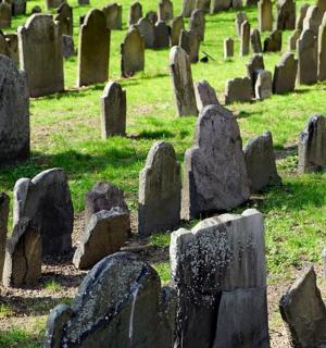 skupina náhrobků na hřbitově