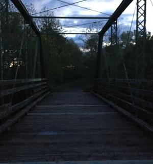 a bridge over a forest with a cloudy