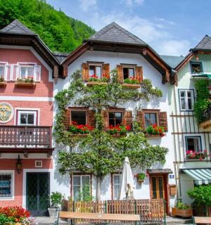 带有花箱和阳台的建筑