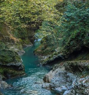 峡谷中的一条河流，有岩石和树木