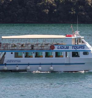 ein Kreuzfahrtschiff im Wasser auf einem See