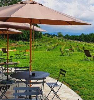 en gruppe borde og stole under en parasol