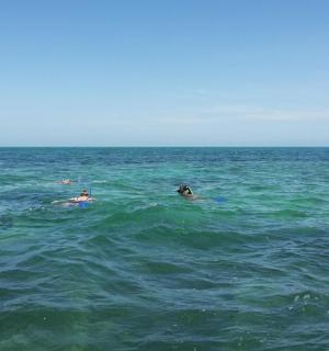 一群人在海里游泳