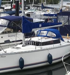 一群停靠在港口的船只