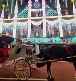 a horse drawn carriage in front of a building