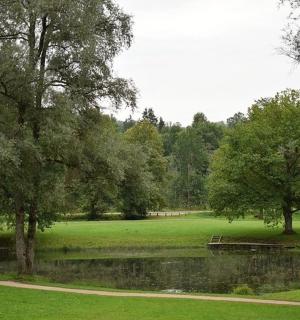 有池塘、树木和小路的公园