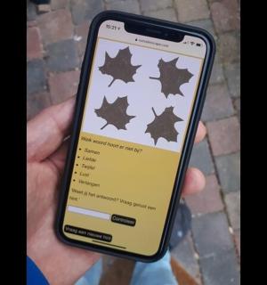一个人拿着印有枫叶的手机