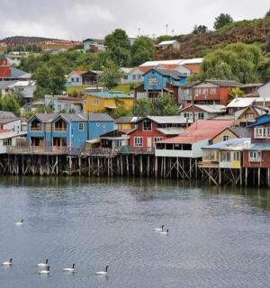 一座有房子和水中鸭子的小镇