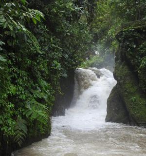 a waterfall in the middle of a river in a forest