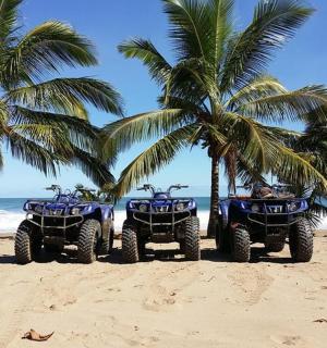two atvs and palm trees on a beach