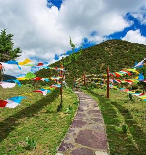 山上挂满彩旗的小路