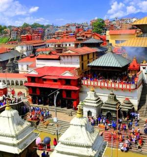 一座有许多建筑物的城市的鸟瞰图