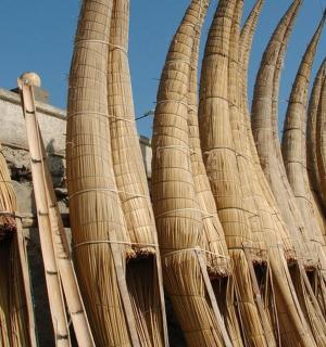 hromada bambusových tyčí před budovou