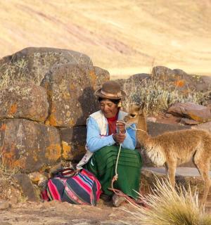 一名男子坐在窗台上，身边还有一只袋鼠