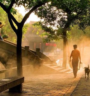 muž a pes jdoucí po ulici