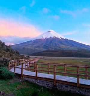 远处有一座山,山前有一座桥