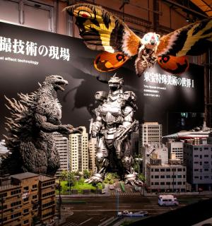 a display in a building with drawings of birds andoths