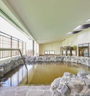 建筑物内有岩石的水池