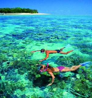 两个人在清澈的蓝色海洋中游泳