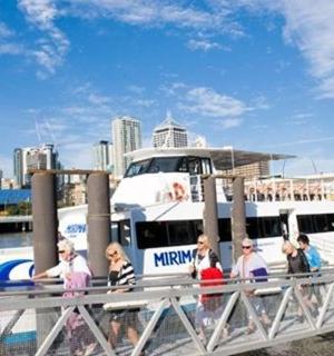 Brisbane River Cruise & Koala Sanctuary Admission