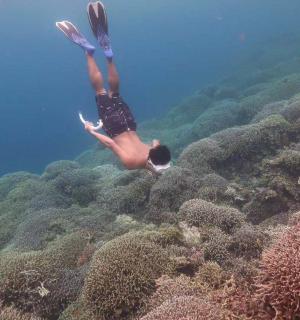 คนกำลังดำน้ำเหนือแนวปะการัง