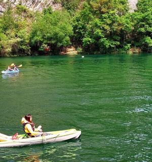 a group of people in kayaks on a river
