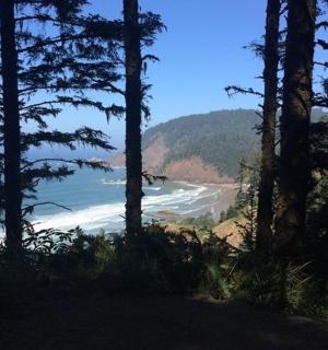 pohled na pláž skrz skupinu stromů