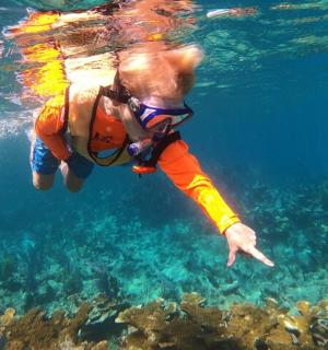 在海里游泳的人