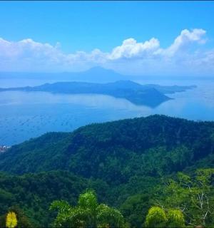 一大片水景和树木