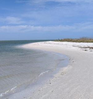 a white beach with the ocean in the background