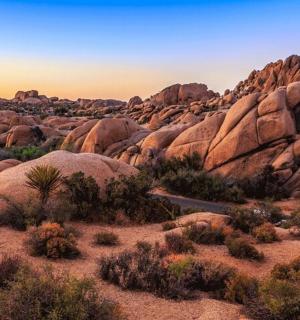 pohled na poušť s kameny a keři