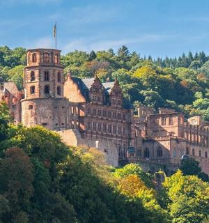 an old castle on top of a hill with trees