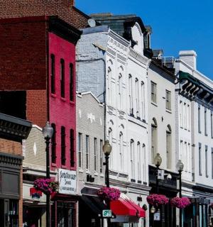 Skupina budov na městské ulici s růžovými květy