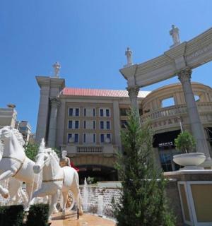 建筑物前的白马雕像