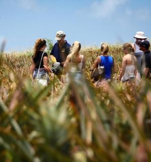 a group of people walking through a field