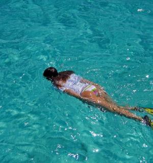 在海里游泳的人