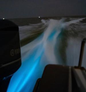 水中一艘发出蓝光的船