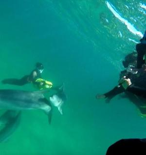 dva lidé fotí žraloka ve vodě