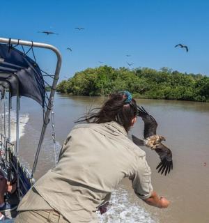 a person on a boat with a bird in the water