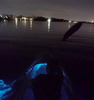 a person in a boat on a lake at night