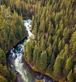 an aerial view of a river in a forest