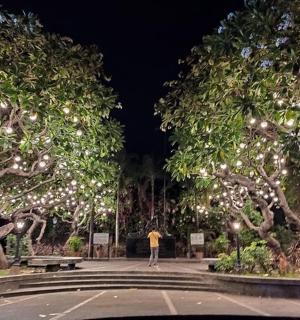 一个人走过树木和灯光的公园