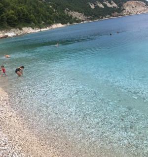 a group of people in the water at a beach